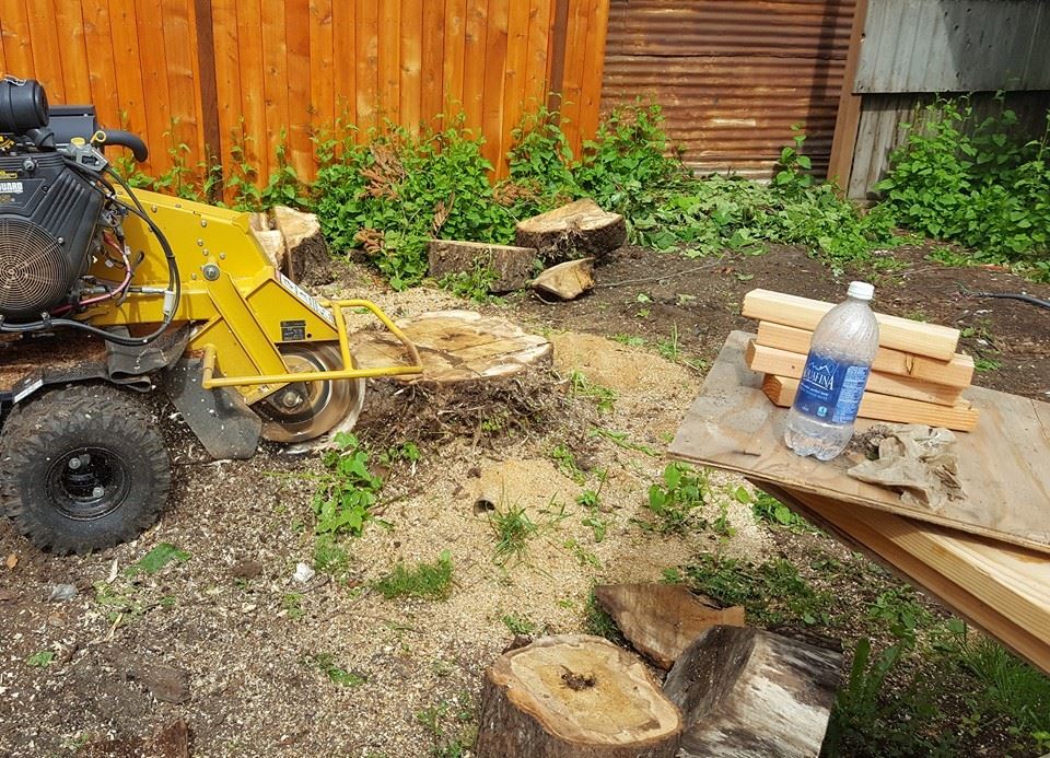 Woodchucks Tree Service & Stump Grinding | Eugene OR