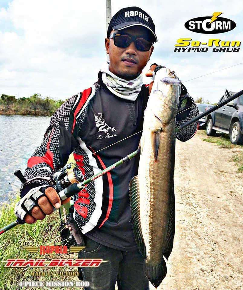 Rapala - Storm So-Run HYPNO GRUB ได้ลองแล้วจะติดใจ...!!!... | Facebook