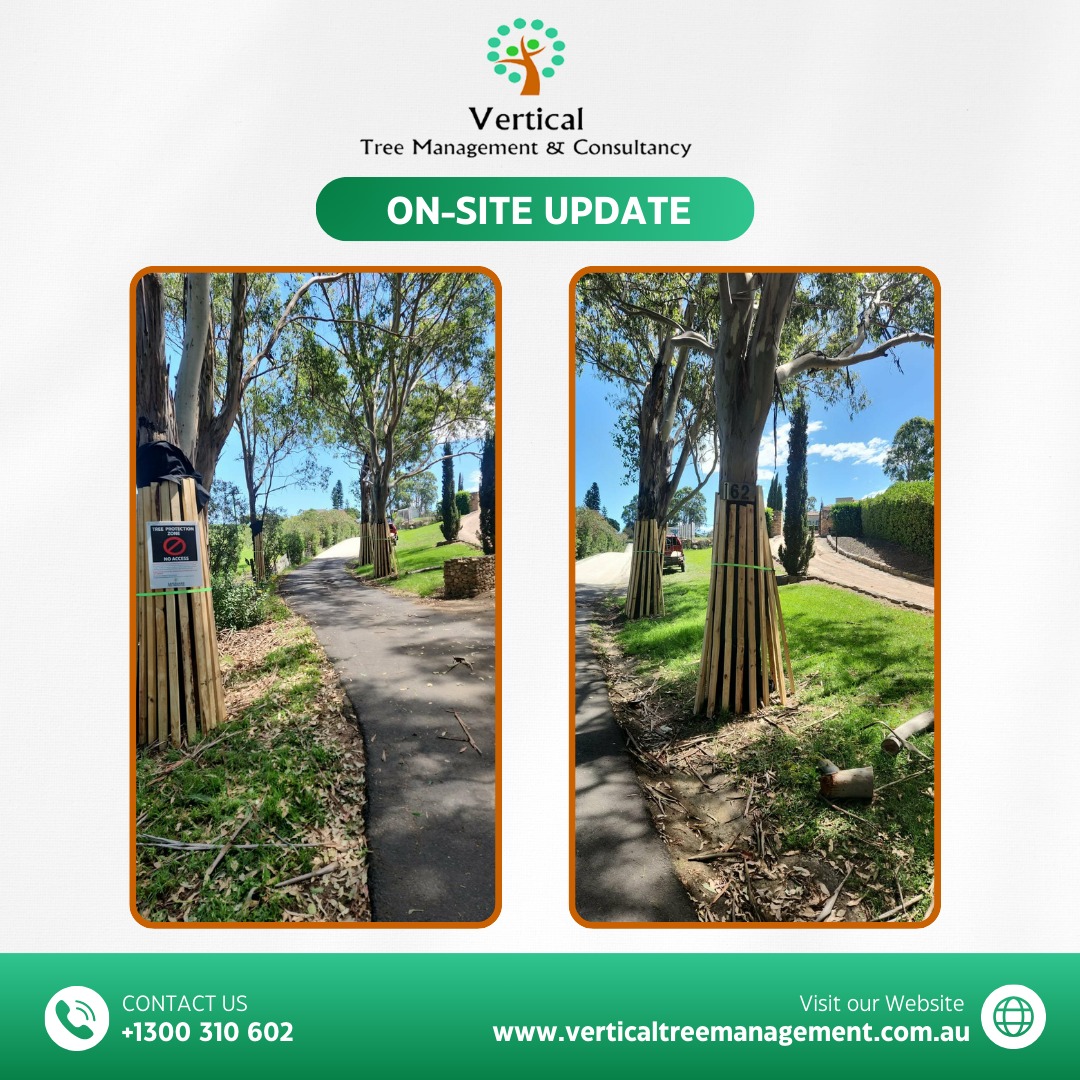 Vertical Tree Management & Consultancy