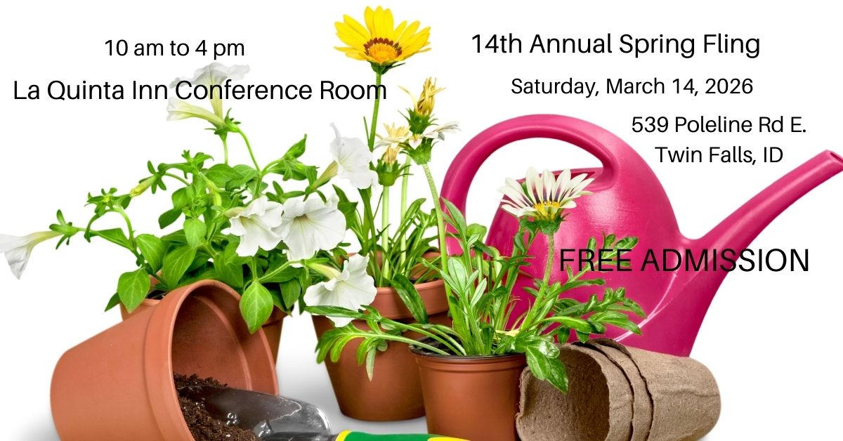 14th Annual Spring Fling