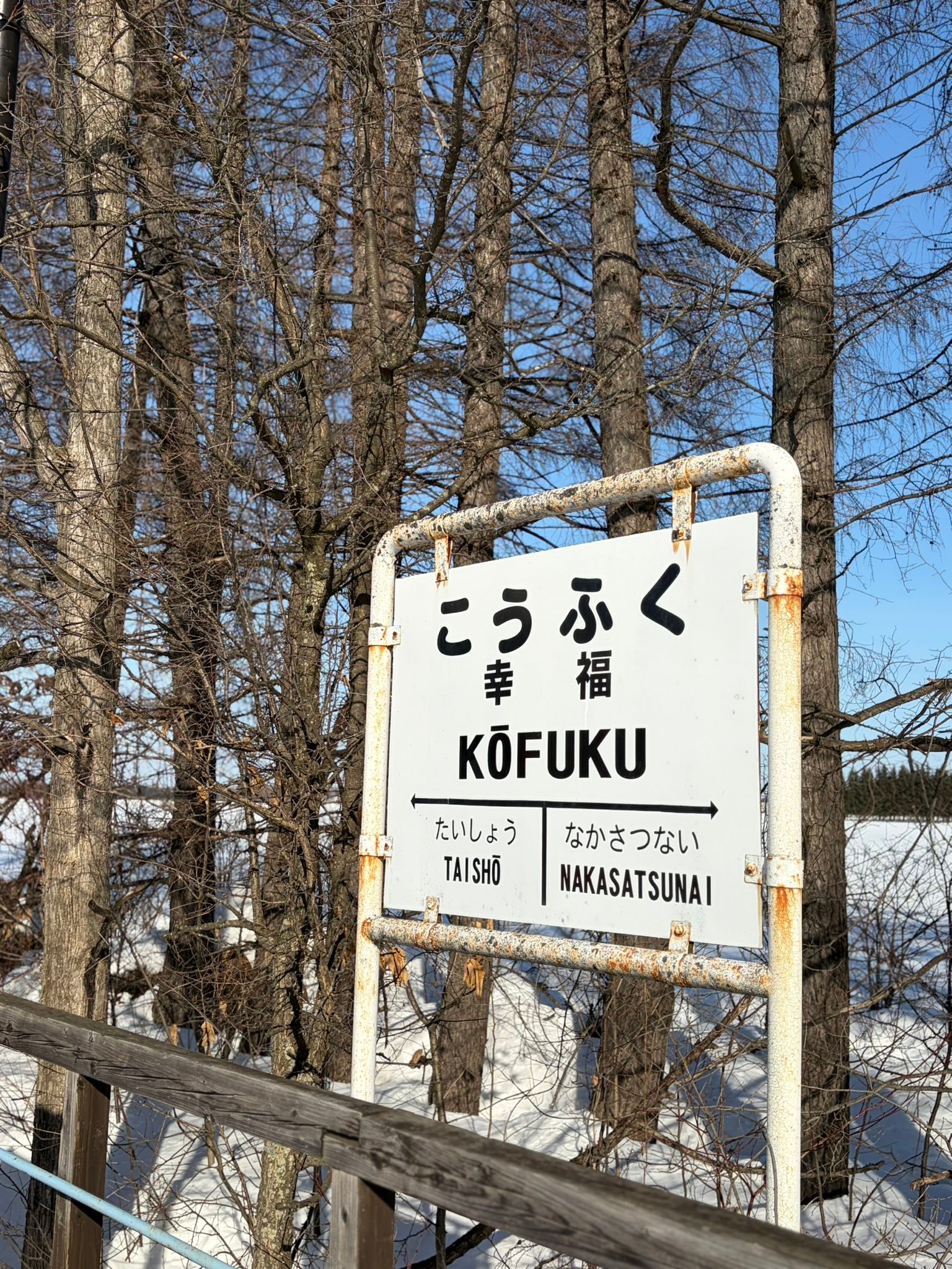 ❄️❄️❄️ 真っ白な雪と 澄んだ青空 オレンジ色の列車の