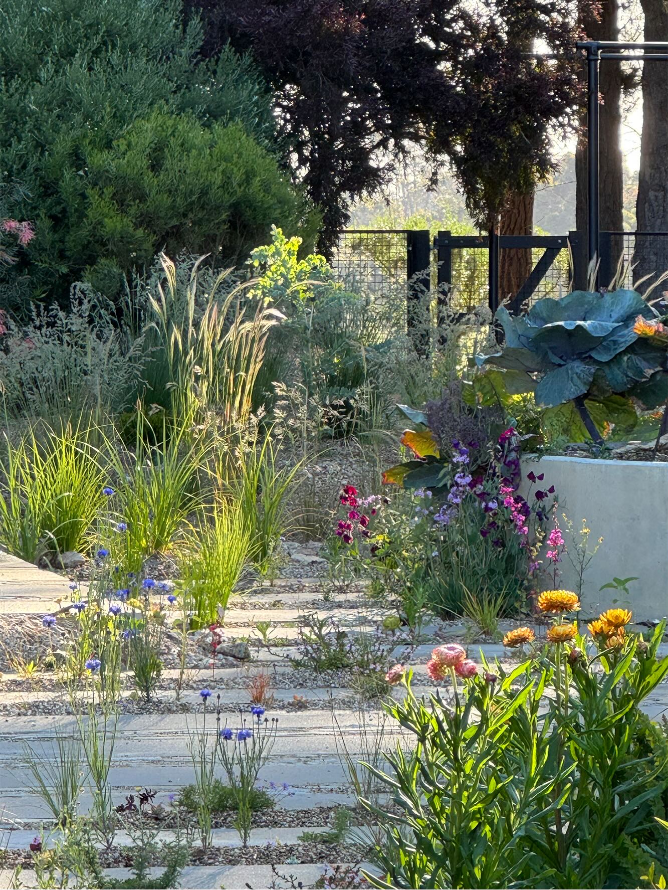 Landscape Australia | South Melbourne VIC