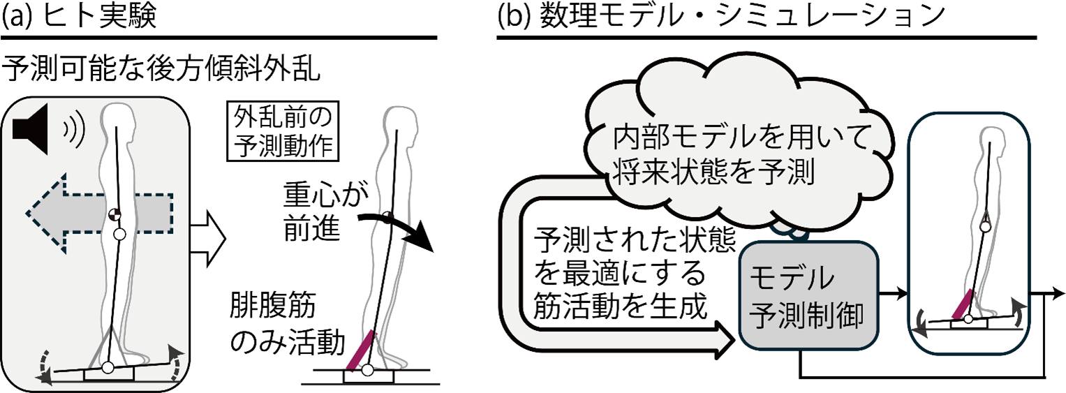 東京大学 大学院総合文化研究科 広域科学専攻 生命環境科学系
