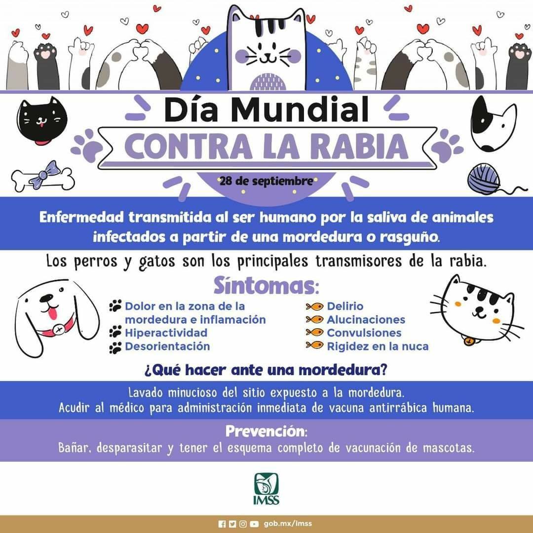 Can Friendly - La rabia es una enfermedad transmitida al... | Facebook