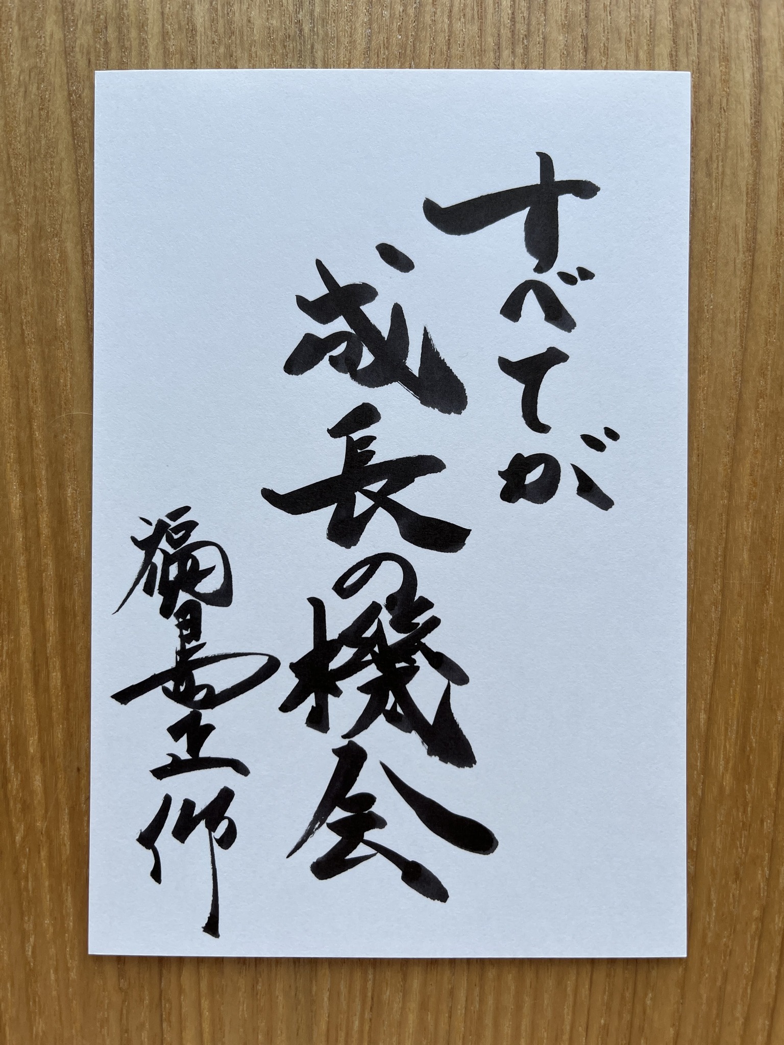 真経営用語辞典 福島正伸 真経営用語辞典 福島正伸 真経営学読本