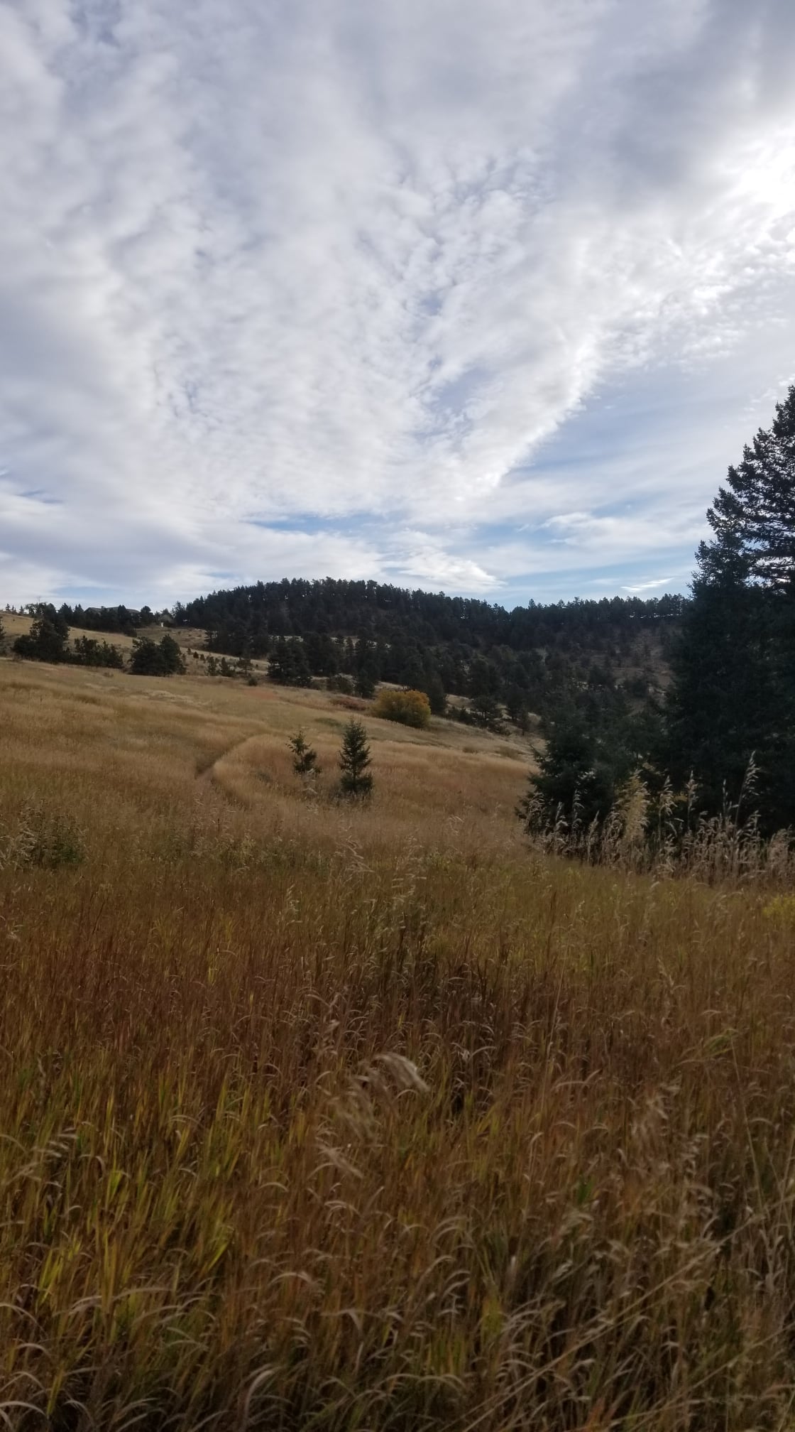 Sol-Strength Wellness | Wheat Ridge CO
