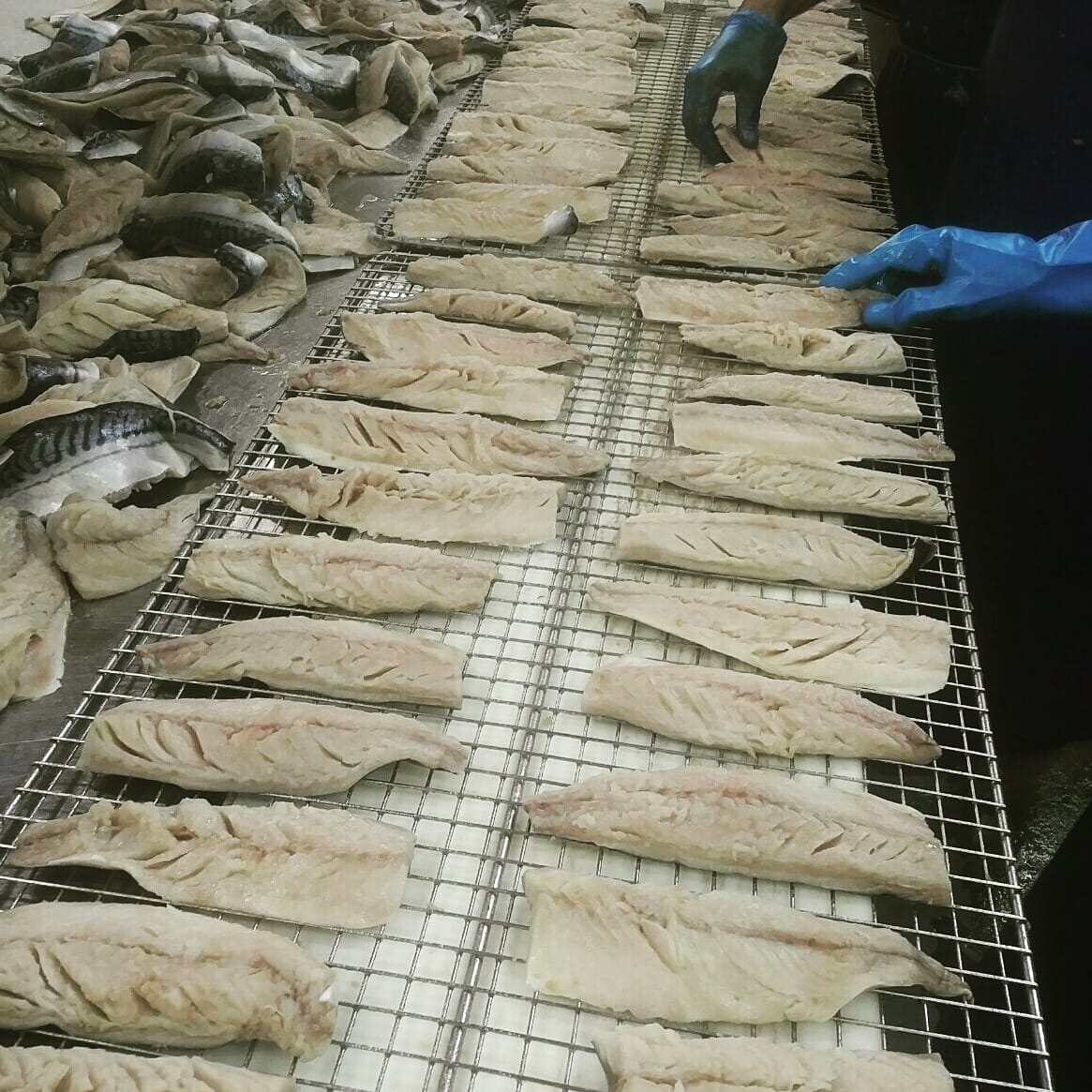 At Bos Smoked Fish, it's mackerel... - Bos Smoked Fish Inc.