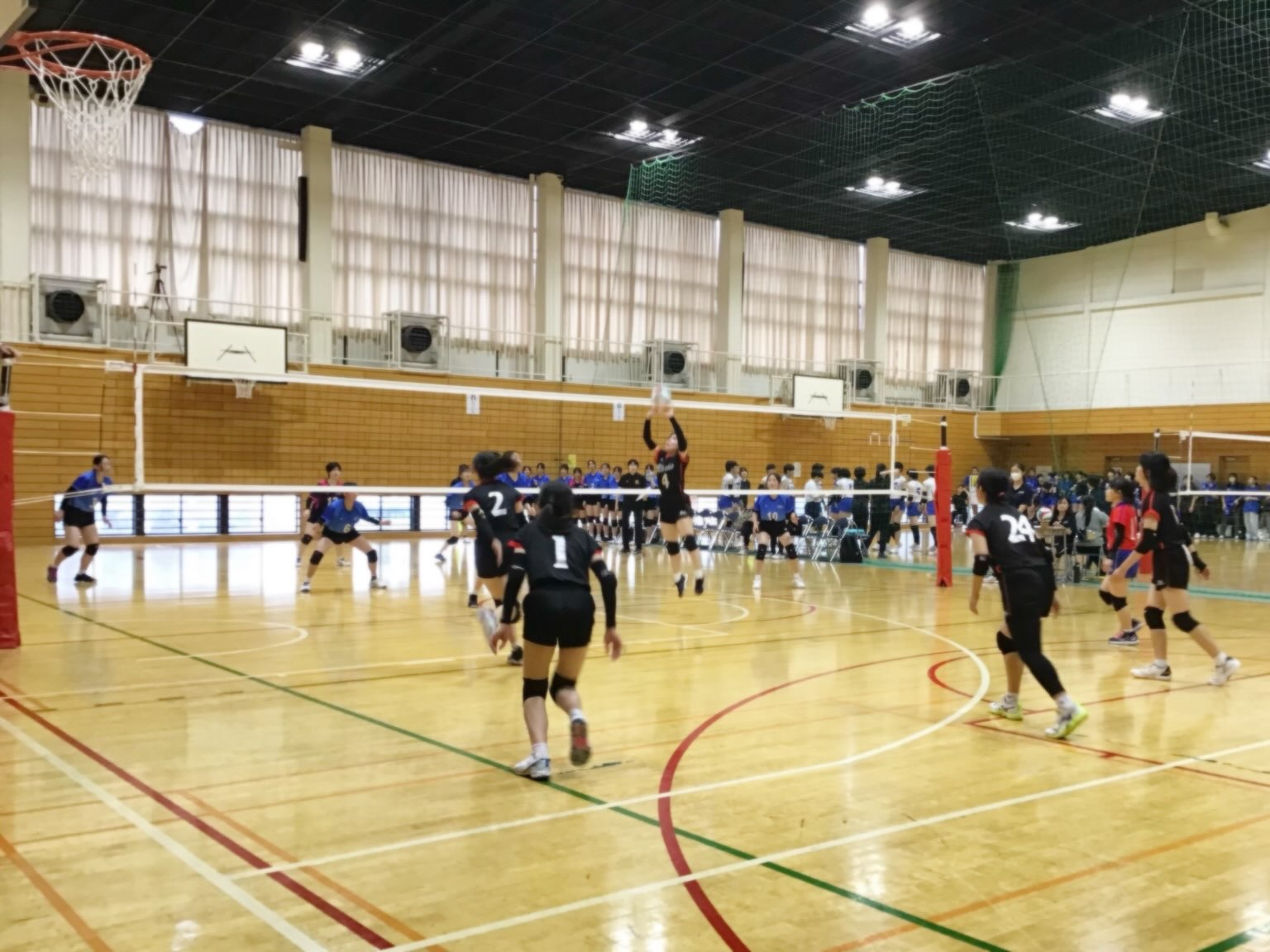 立正大学付属 立正高等学校 女子バレーボール部 | Ota-ku Tokyo