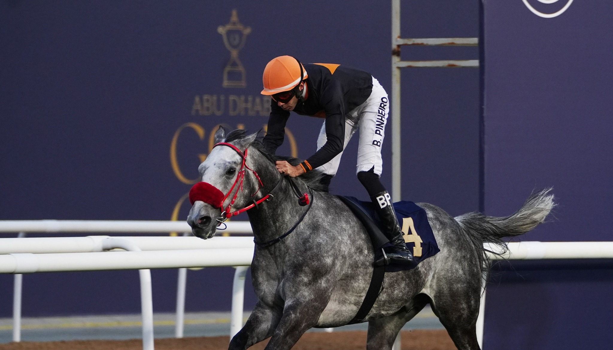 Arabian Racing Organisation... - Arabian Racing Organisation