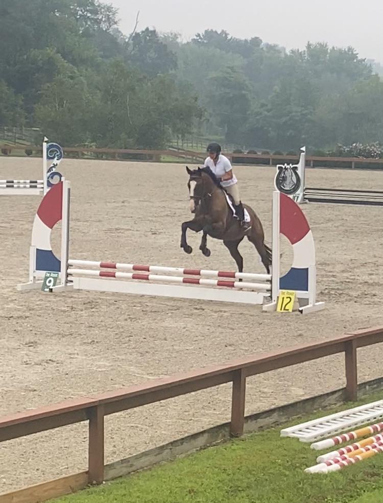 Hampton Equestrian Center LLC. | Birdsboro PA
