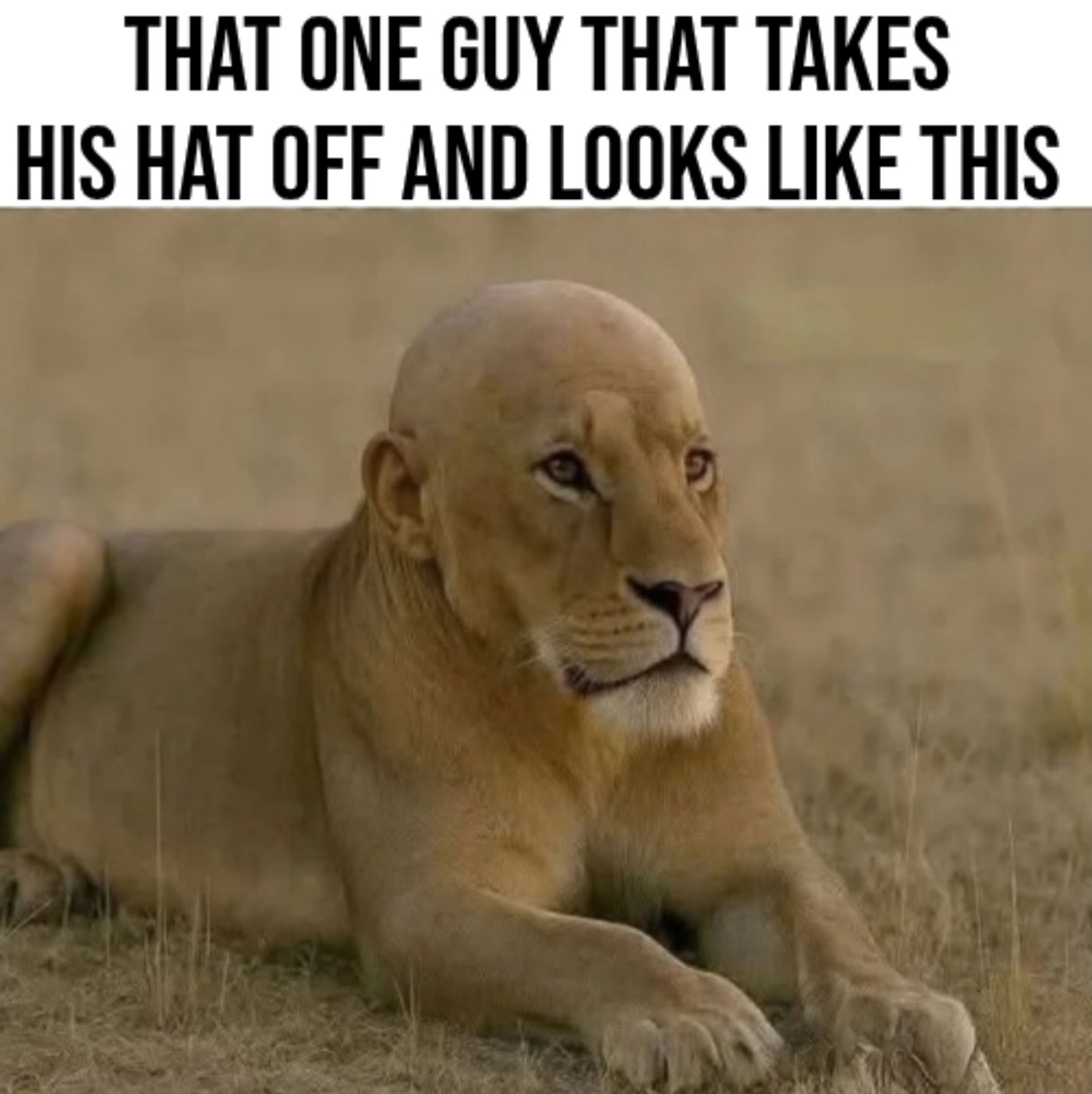 RepoFinder - 🧢 | Facebook
