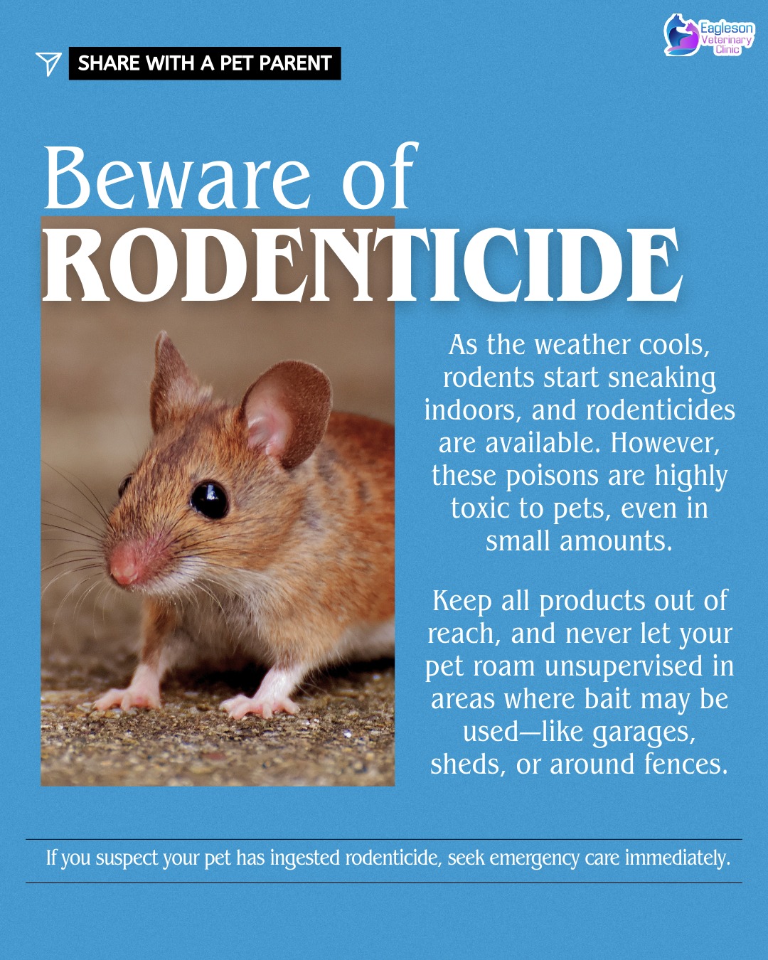 Many rodenticides are... - Eagleson Veterinary Clinic Kanata | Facebook