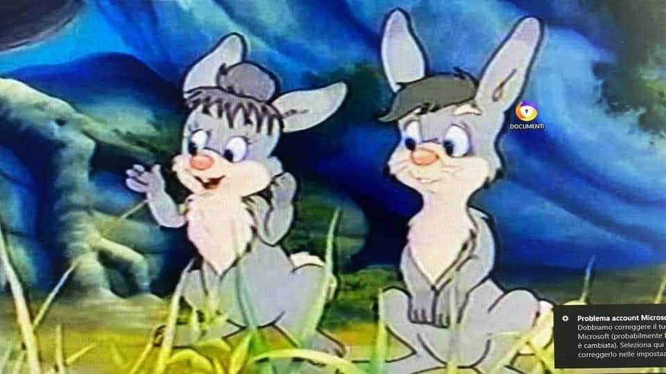 Il coniglio Mr. Rabbit and Mrs. Rabbit | Facebook