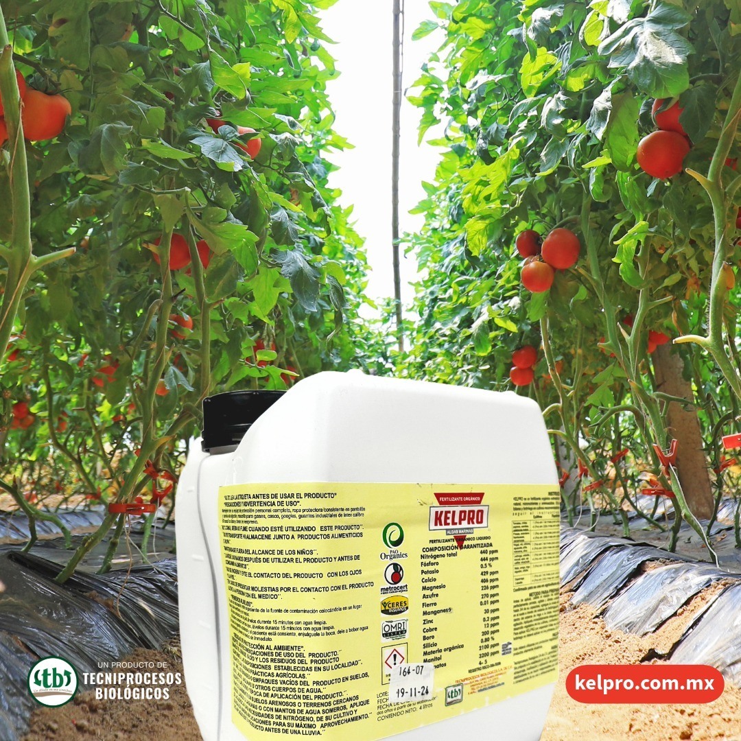 Tecniprocesos - 🍅 #Kelpro es una fuente eficaz de potasio, ya que es el ...