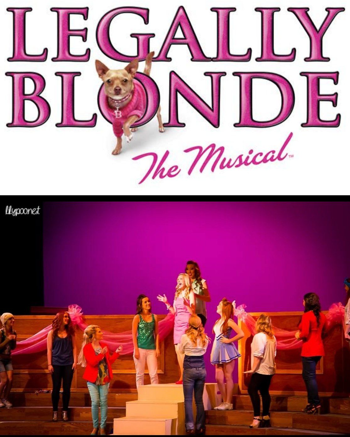 Queen - The QCPAC is excited to announce our Legally Blonde Auditions ...