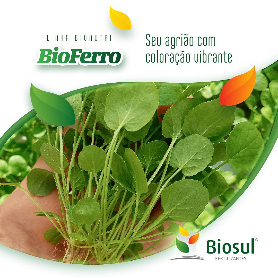 Bio Ferro é um fertilizante mineral... - biosulfertilizantes