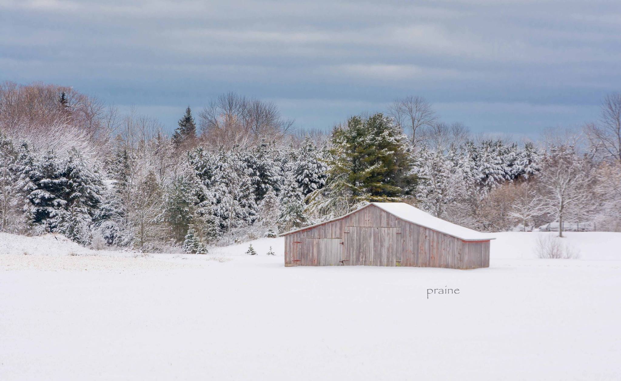 Patti Raine Photography
