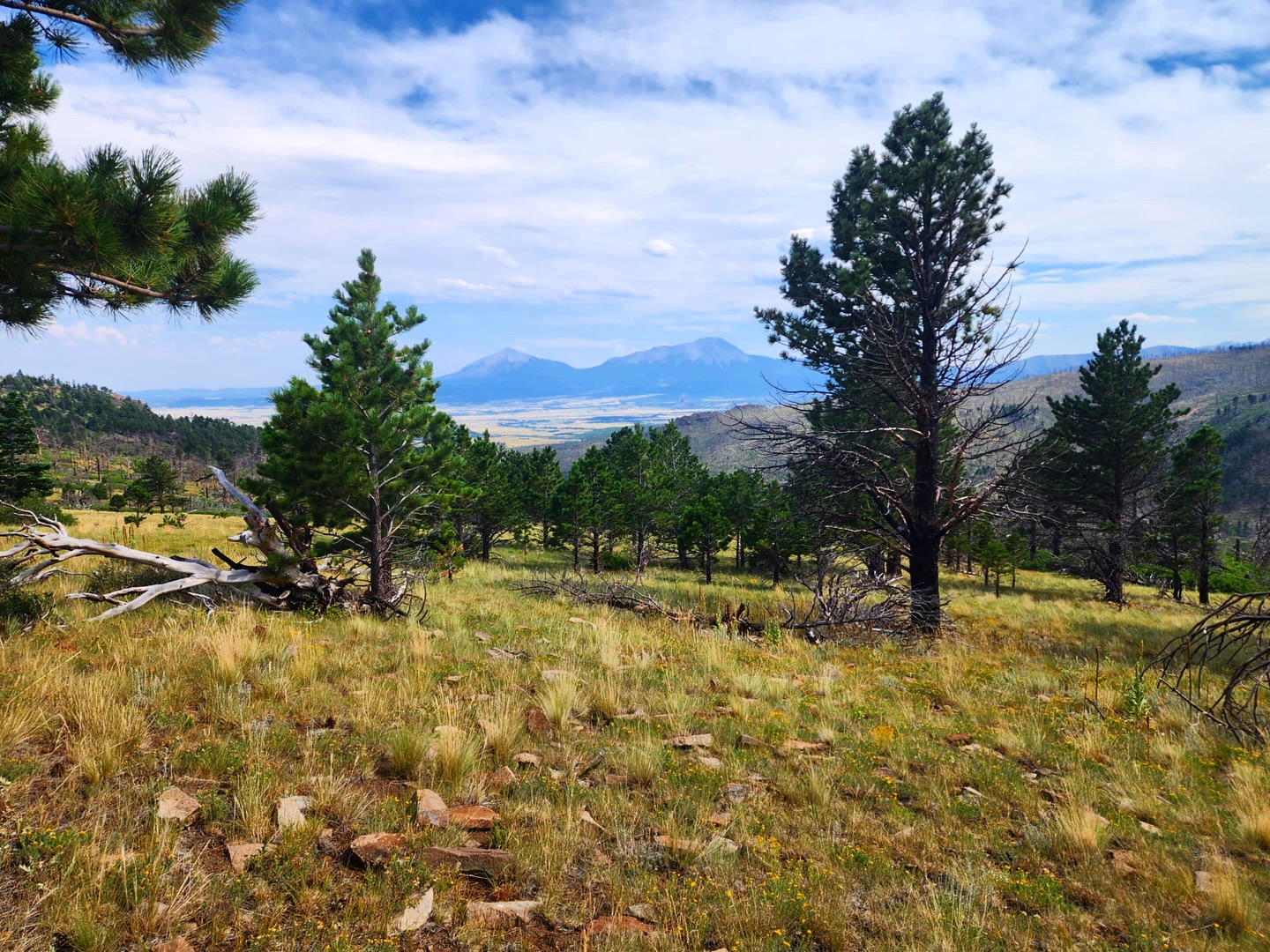JW Ranch | La Veta CO