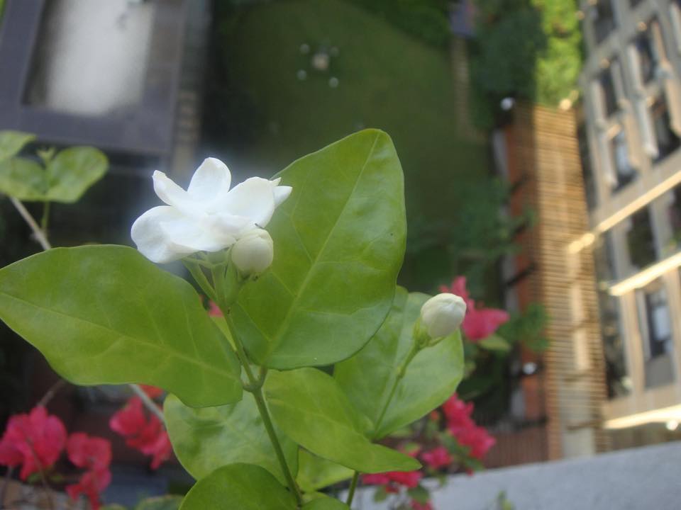 惠熙靜
