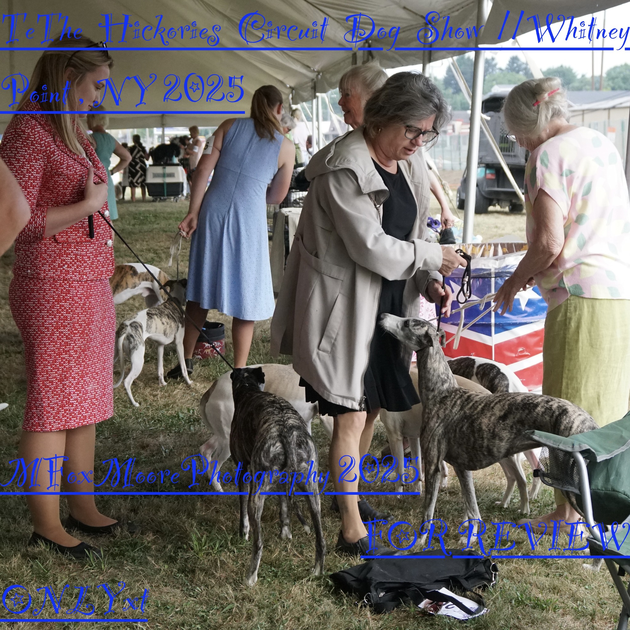 Hickories Circuit Dog Show... - Hickories Circuit Dog Show