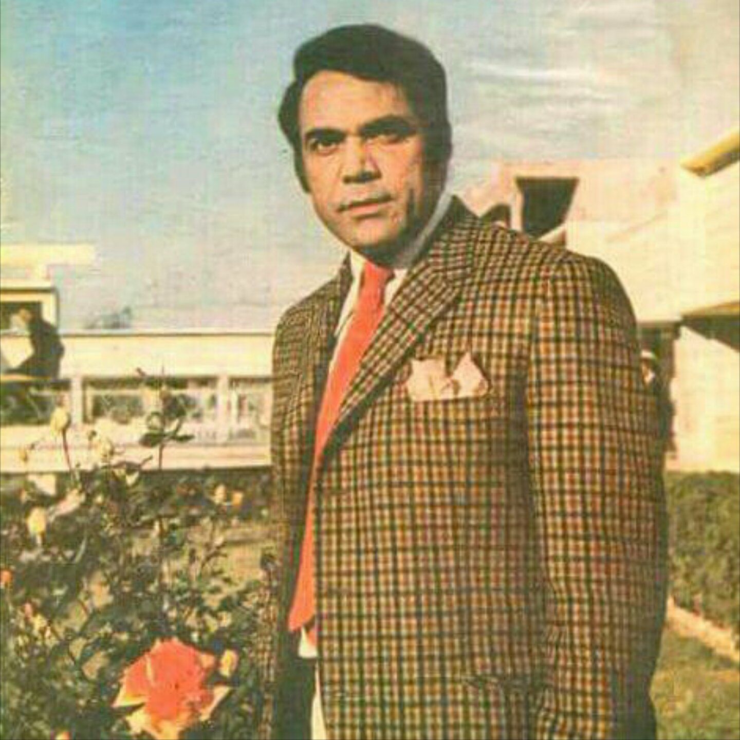 Sultan Rahi