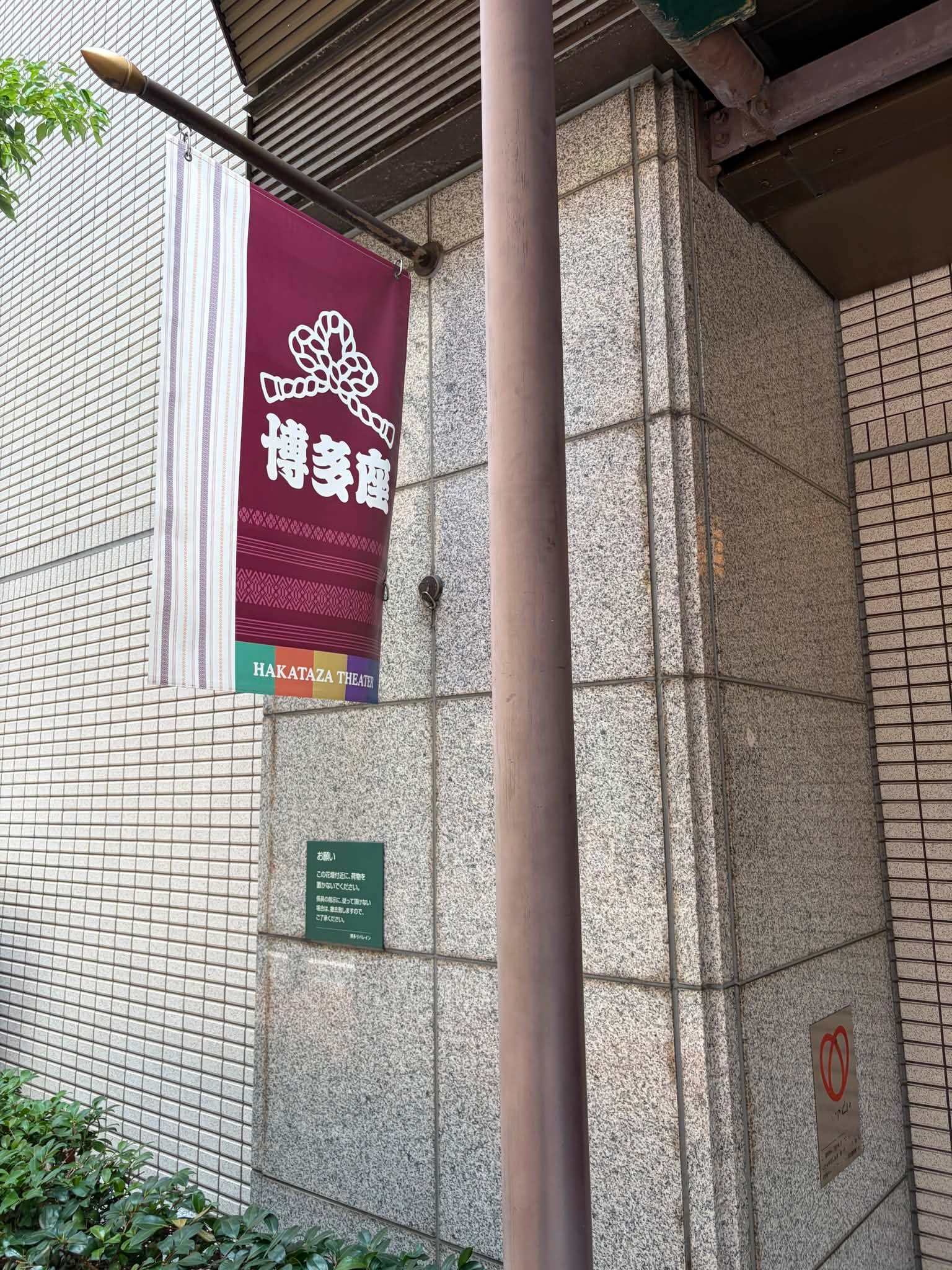 琴・三絃 福岡あこや (@fukuoka.akoya) • Facebook