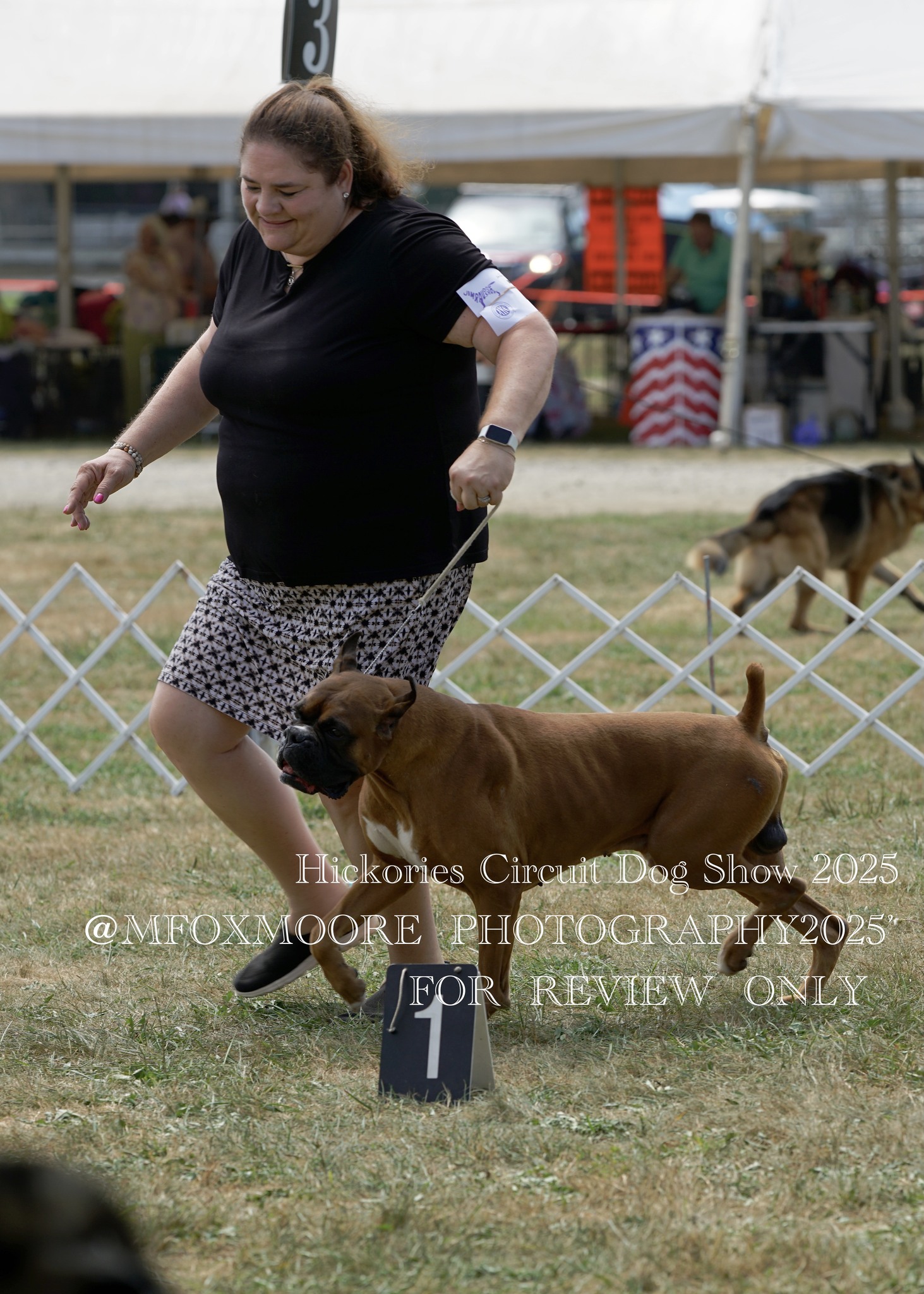 Hickories Circuit Dog Show... - Hickories Circuit Dog Show