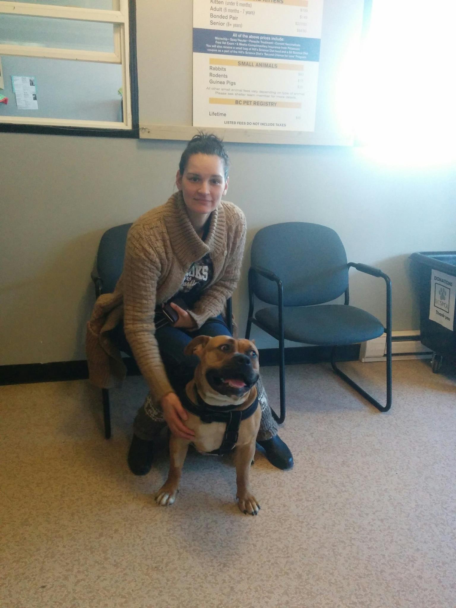 BC SPCA Victoria | Victoria BC