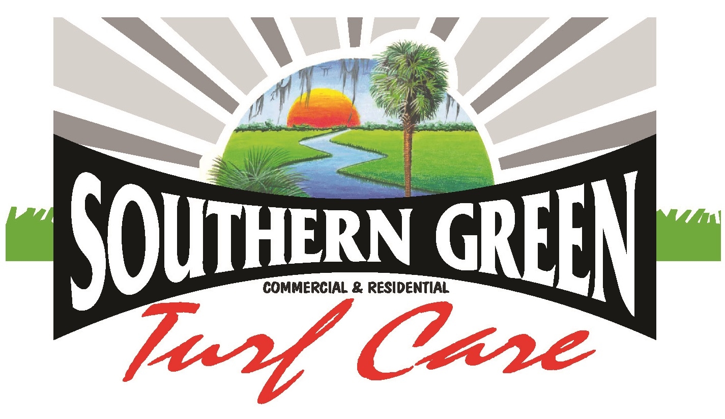 Southern Green - 🌴🔥 FREE REFOLIATED PALM TREE + $1,500... | Facebook