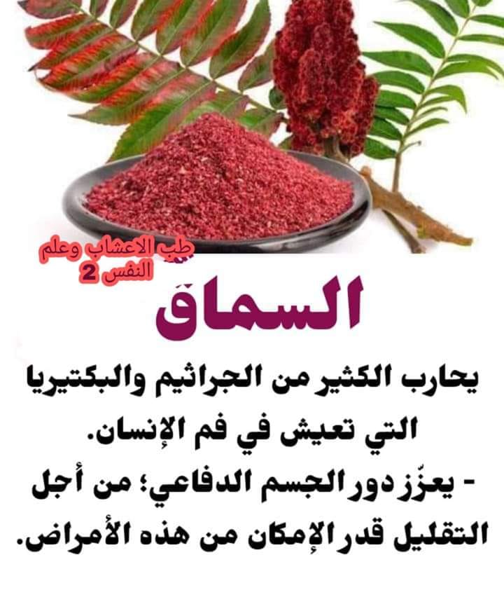 الطباخ والمطبخ فوائد السماق للجهاز التنفسي وللجسم لا يمكن تصورها السماق يعزز دور الجسم الدفاعي ضد الميكروبات والجراثيم احم جهازك الهضمي عن طريق تناول السماق السماق يساهم في الحد في انتشار