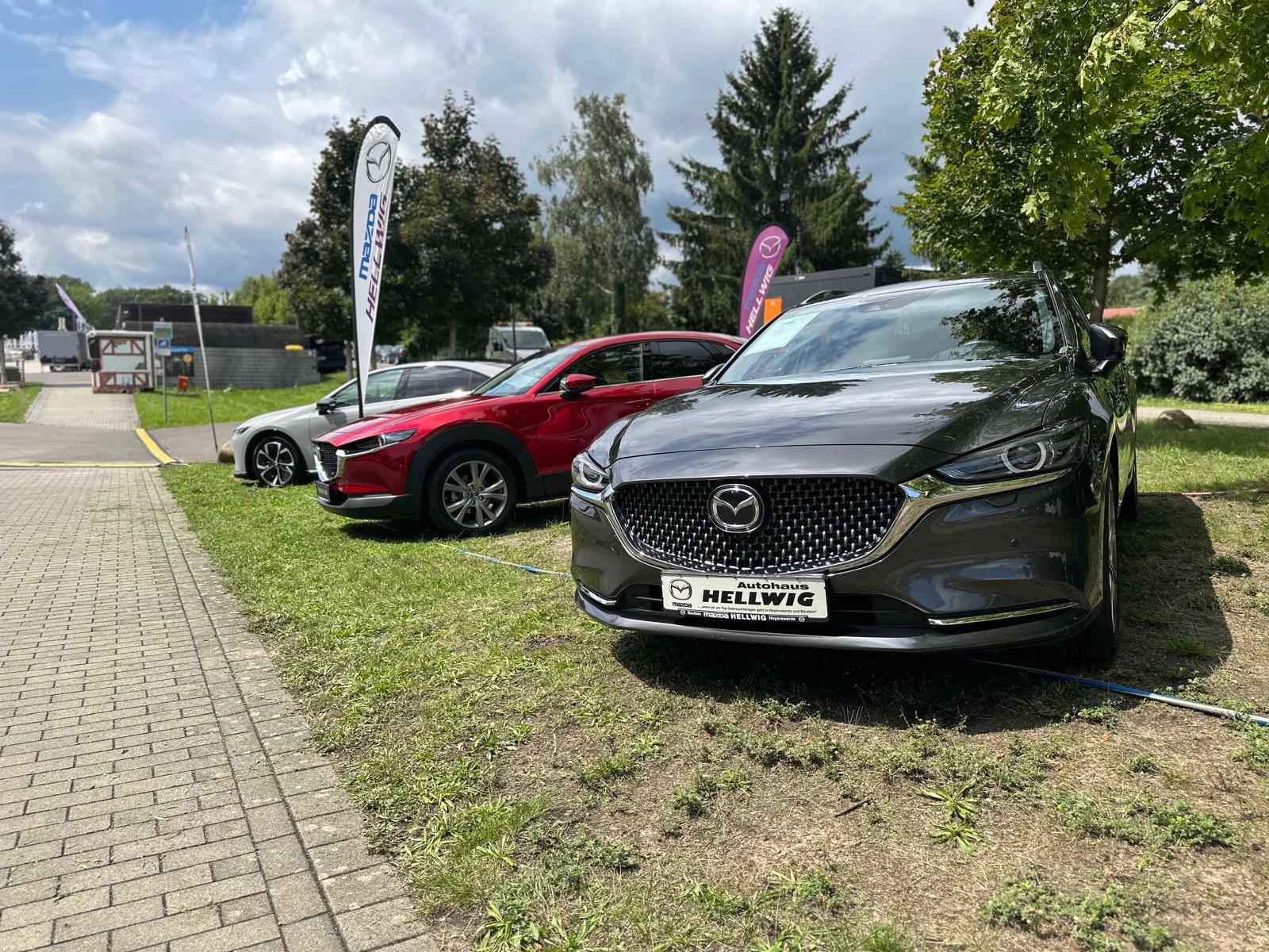 Autohaus Hellwig Flster Gmbh