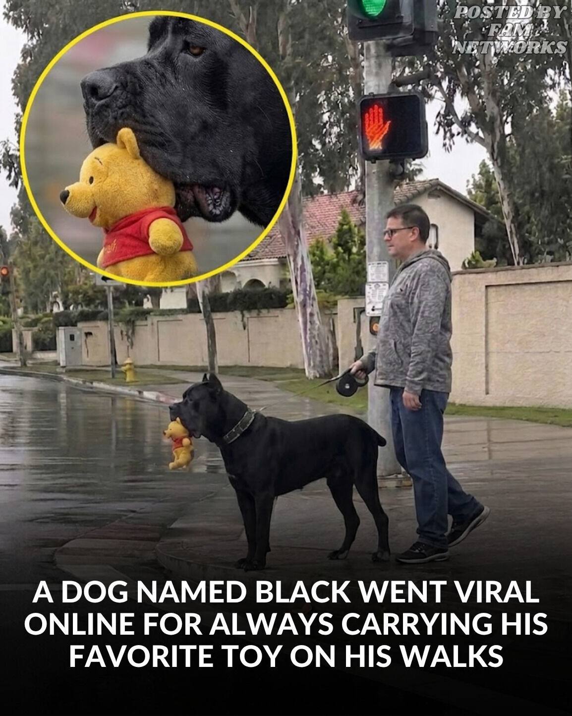 Posted by FAM Networks | A loyal dog named Black has gone viral