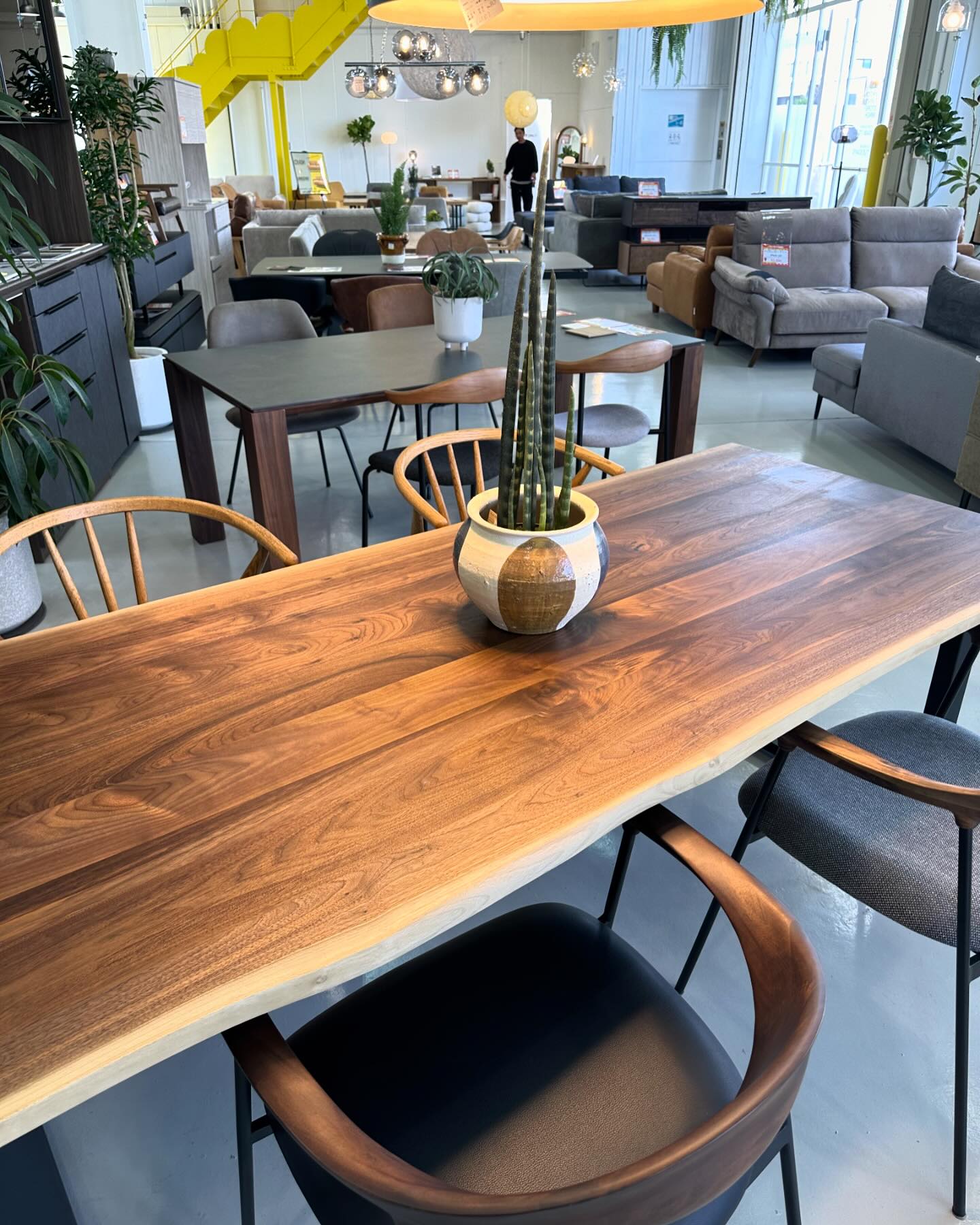 ウンコちゃんの家具屋さん 八尾本店 added a new photo —... - ウンコ 