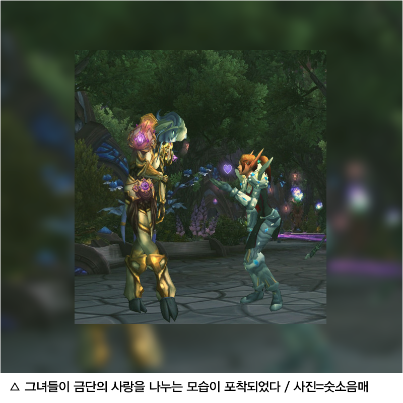 타임즈 오브 워크래프트 - [드레노어는 지금] '커밍아웃' 이렐, 리아드린... 