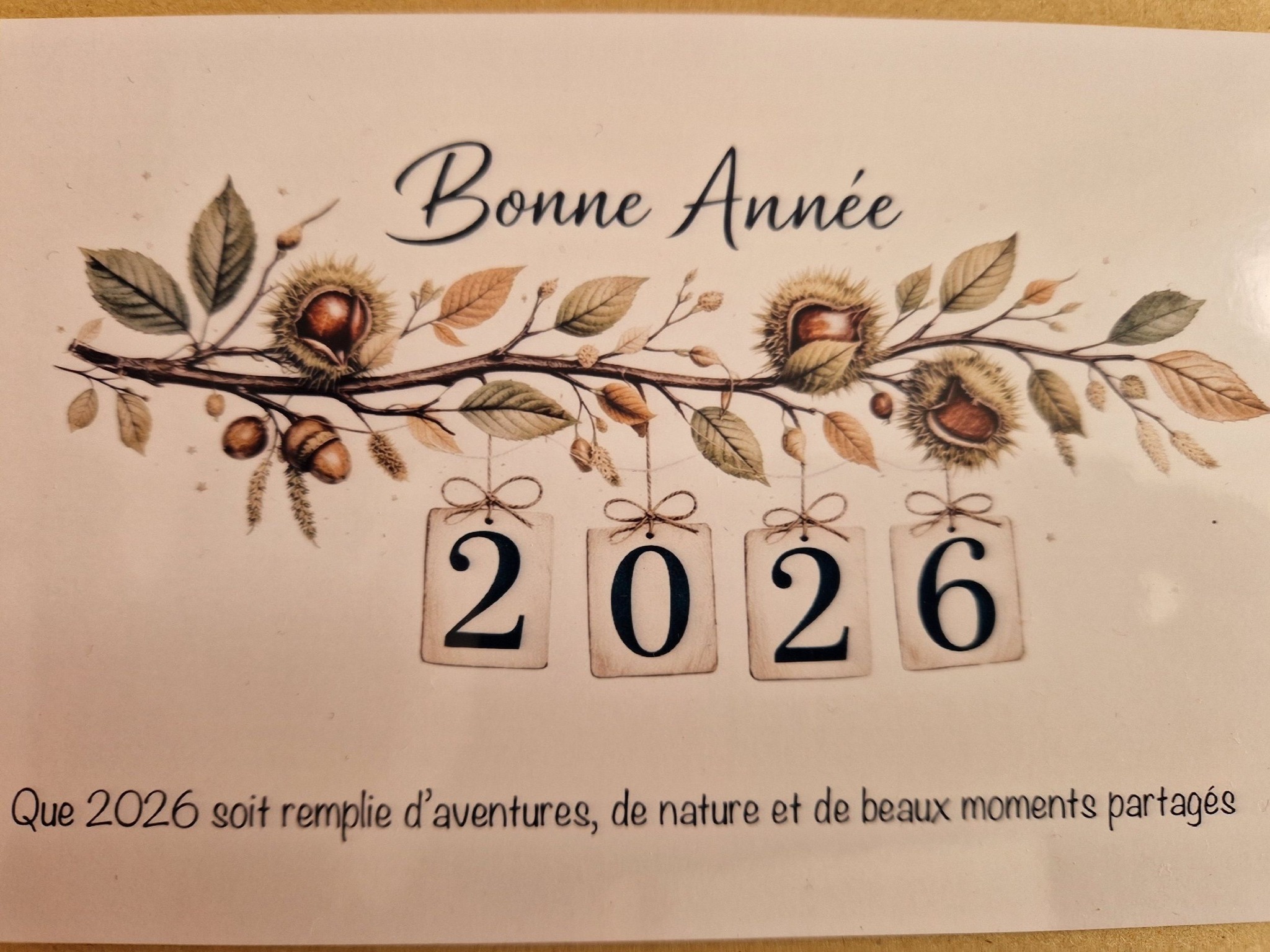 vœux de 2026