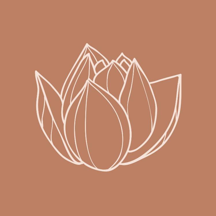 Lotus | Highgate WA