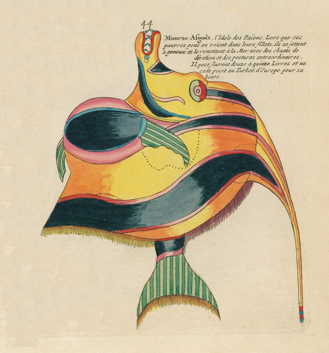 The ETYFish - NAMES OF THE WEEK: Names from the first fish book ...