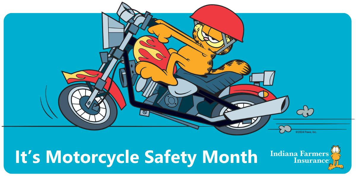 garfield motorcycle helmet When Pigs Fly - Waiving - Auto - Decal - Sticker - for Window - Car - Truck - SUV - - Garfield Motorcycle Helmet