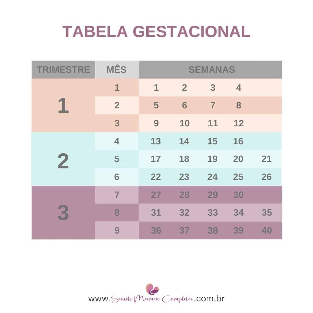 Tabela gestacional para ajudar as... - Saúde Mamãe Completa