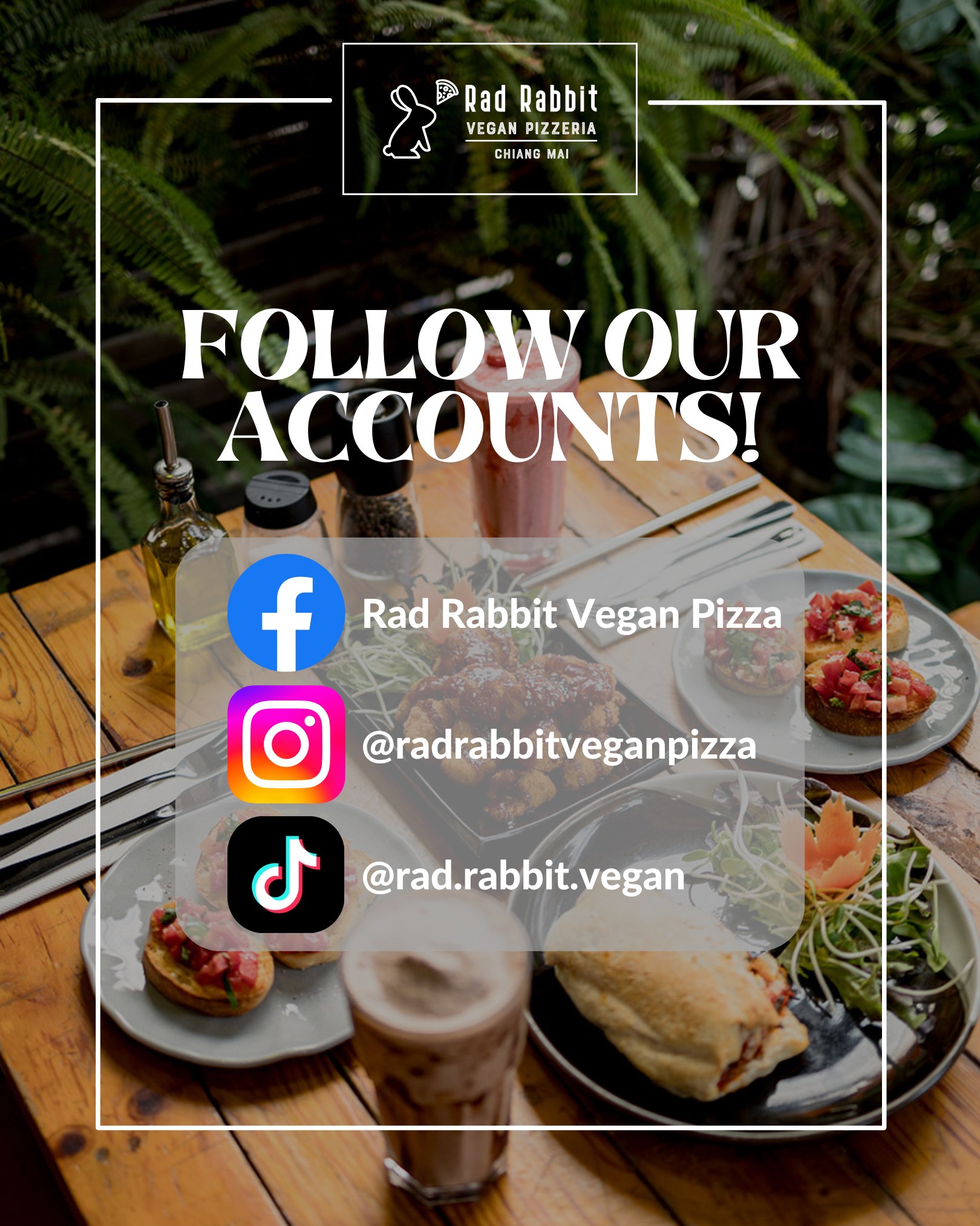 Rad Rabbit Vegan Pizza | Chiang Mai