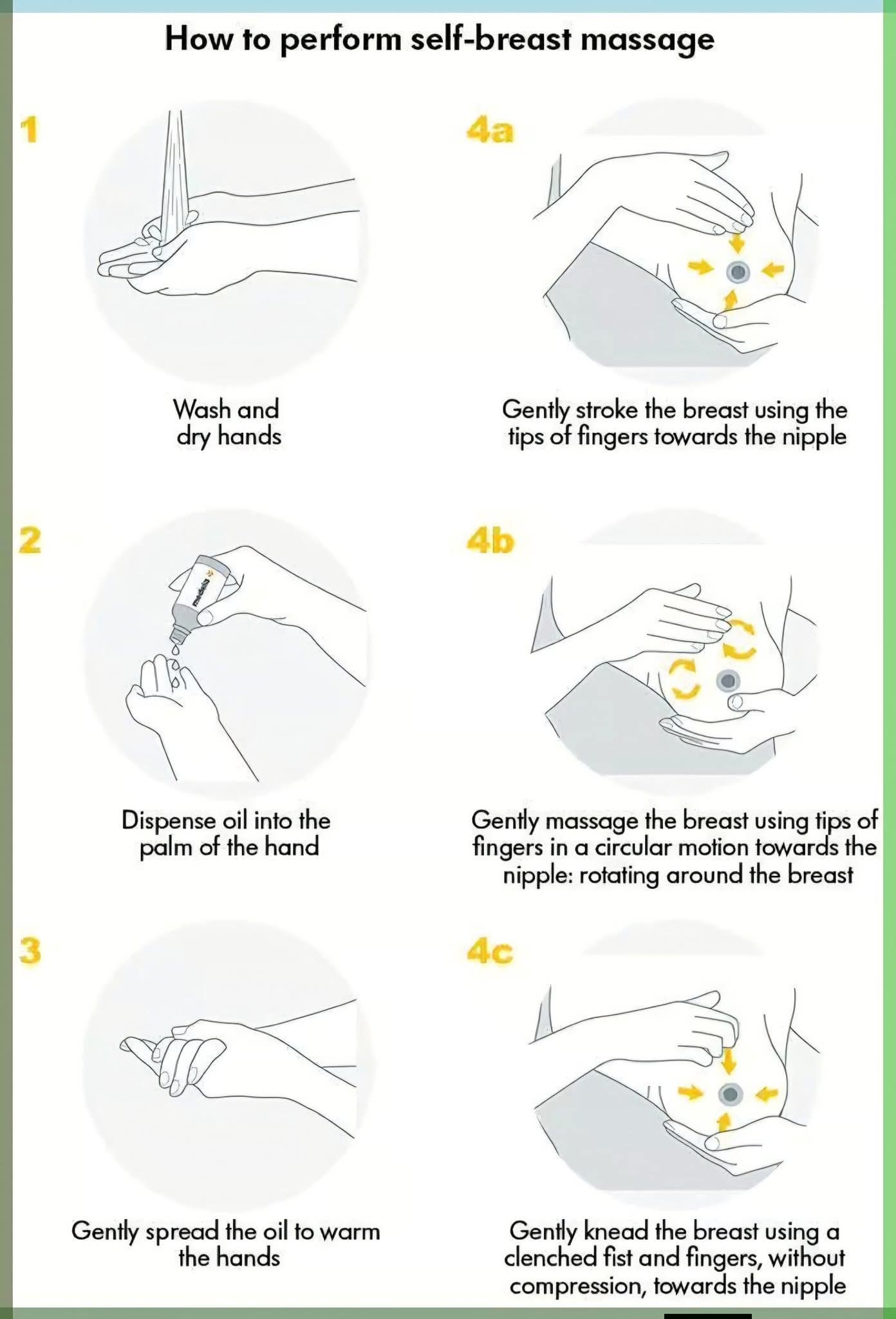 Human Anatomy Group | Self-Breast Massage Steps: Wash hands, apply oil ...
