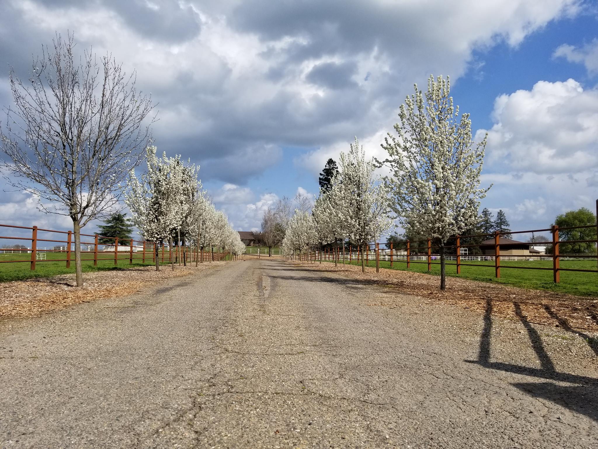 7M Ranch | Clements CA