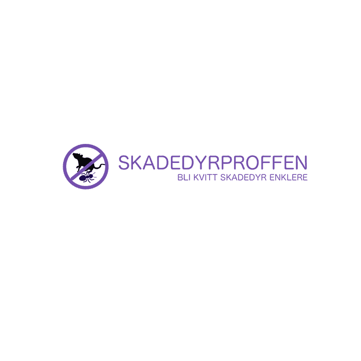 Bruk sikkerhetsbokser på utsiden og fang rotter/mus før de kommer inn 🪤 ...
