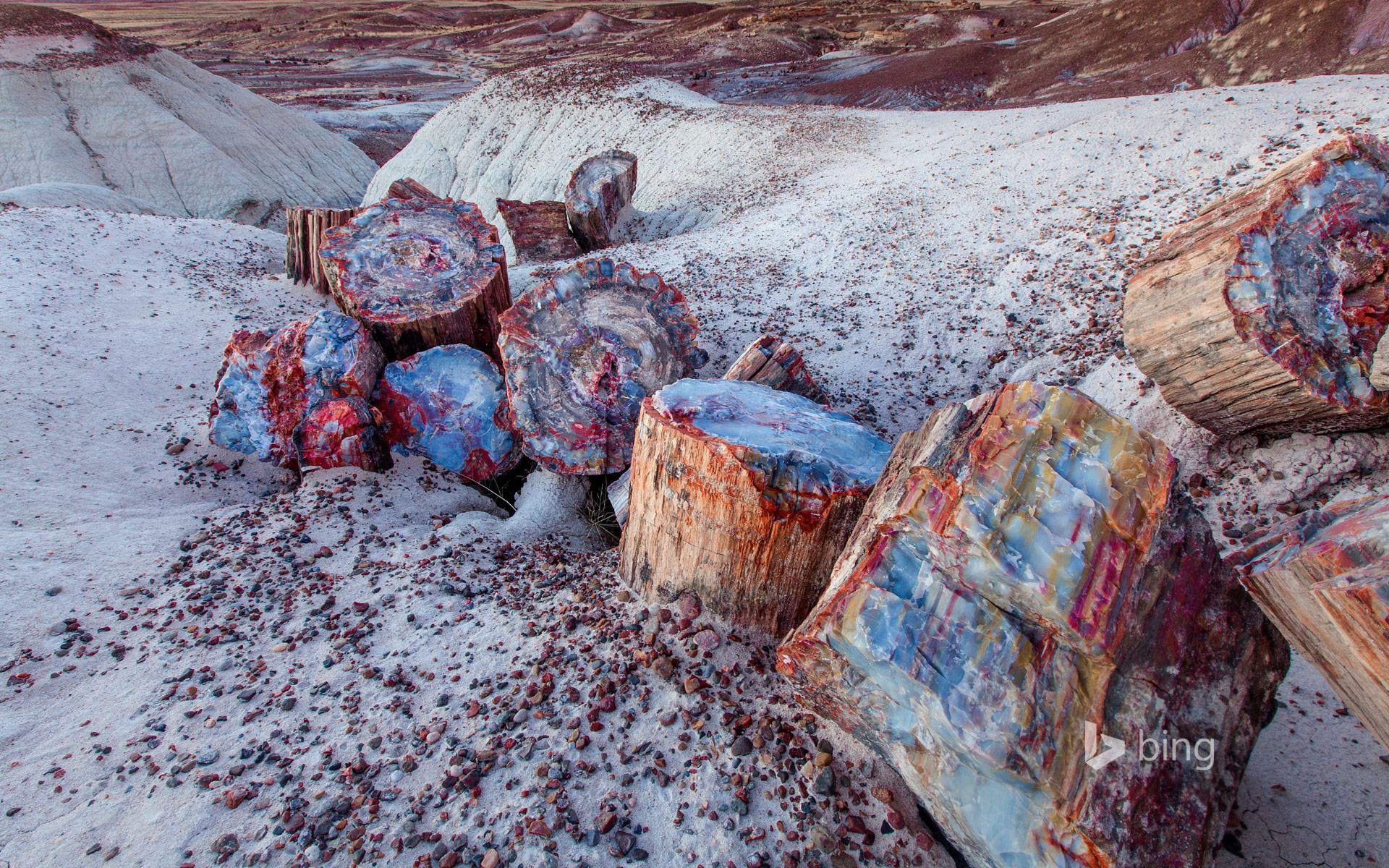 Geology - Encounter Hypothesis: One of the earliest theories for the ...