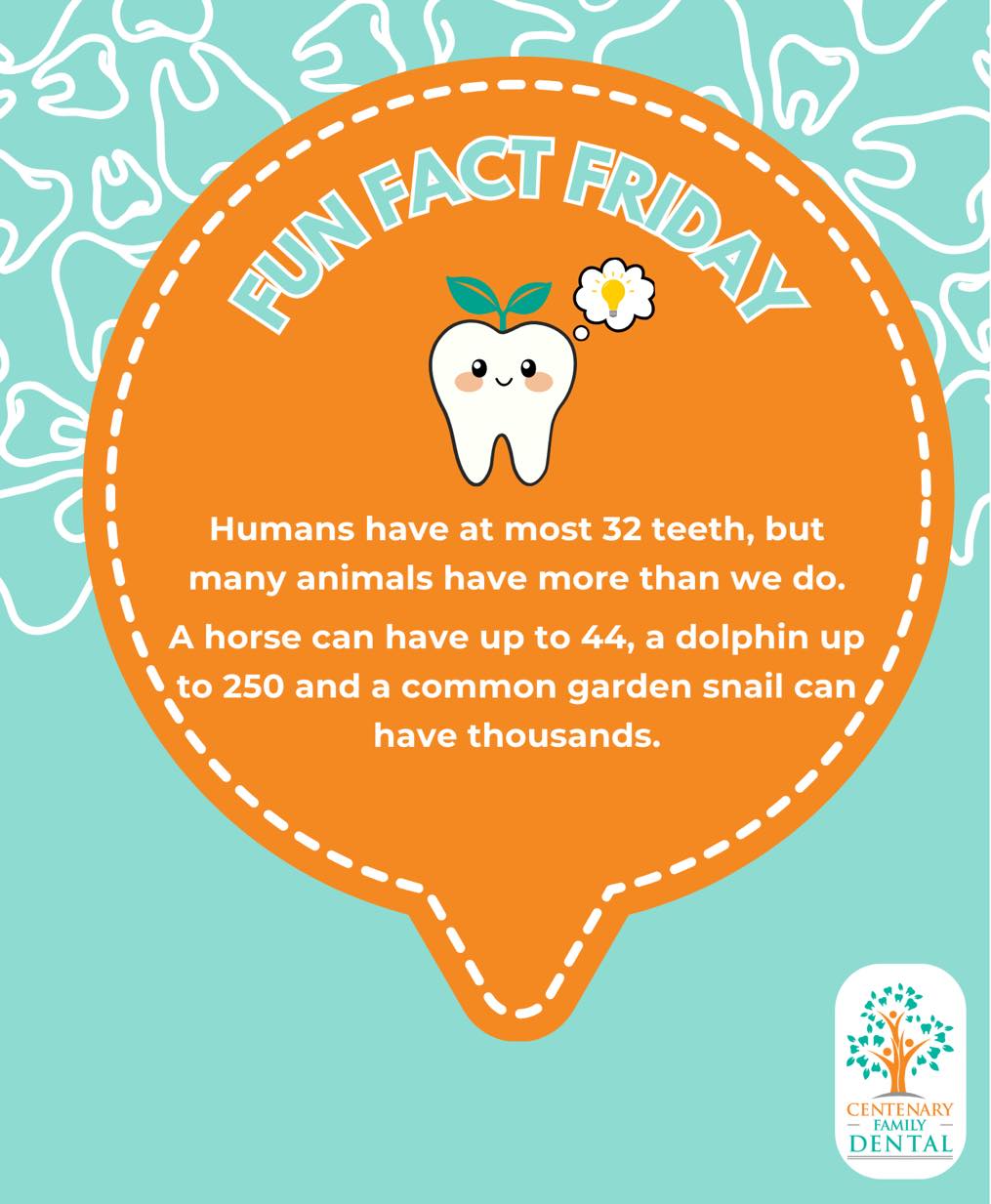 Centenary - Fun Fact Friday💡🦷: Humans have at most 32 teeth, but many ...