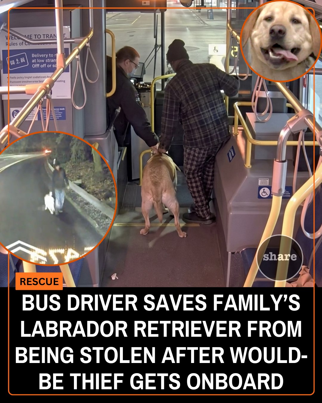 Something about the man with the Labrador Retriever didn't sit