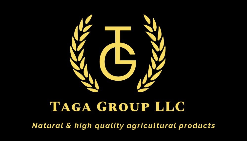 Taga Group LLC | Pinole CA