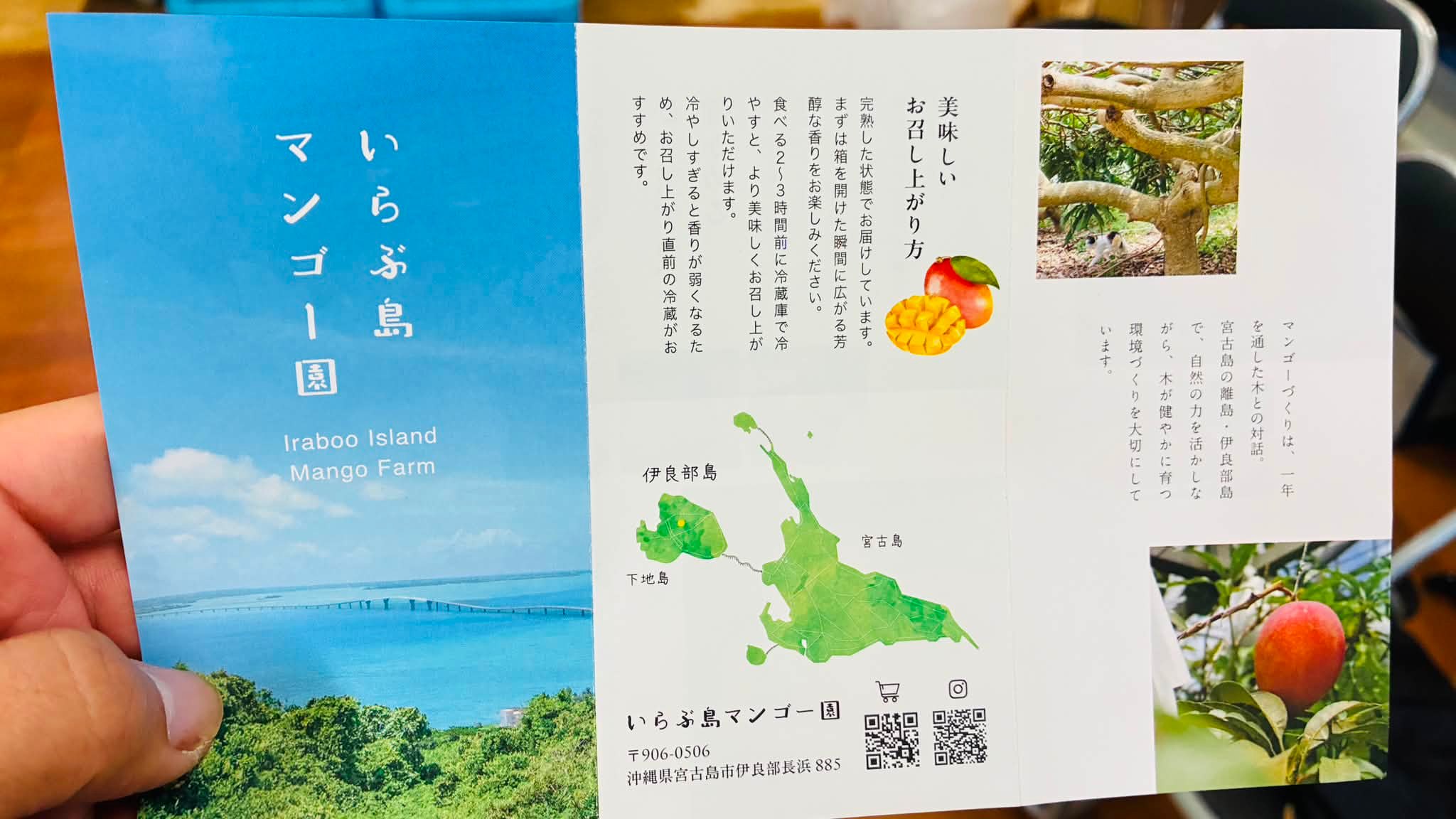 農業生産法人 いらぶ島マンゴー園 | Miyakojima-shi Okinawa