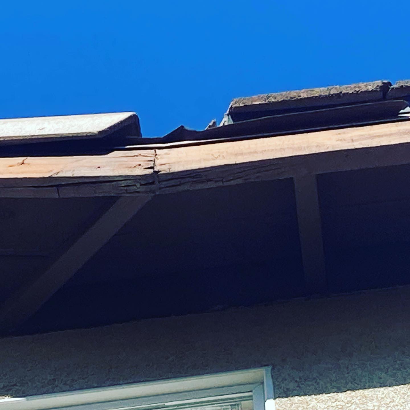 Onpoint Pest & Termite Control | Chula Vista CA
