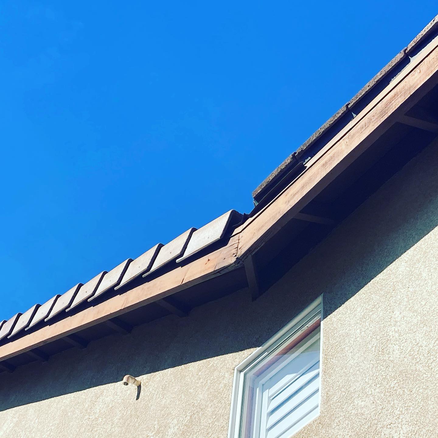 Onpoint Pest & Termite Control | Chula Vista CA
